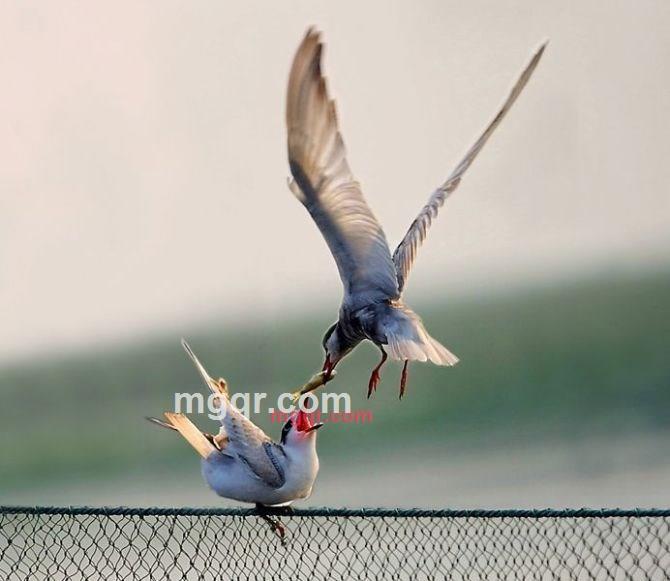 **器的第1张照片