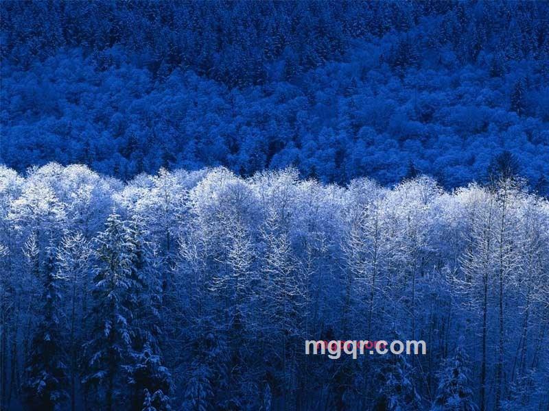 男主角~~的第1张照片