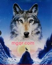 撒野不是的第1张照片