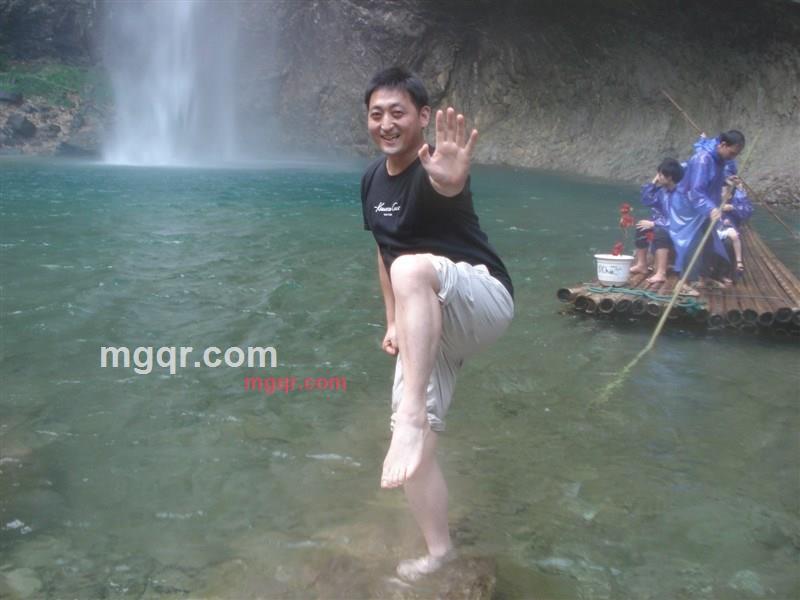 草原狼之狼的第3张照片