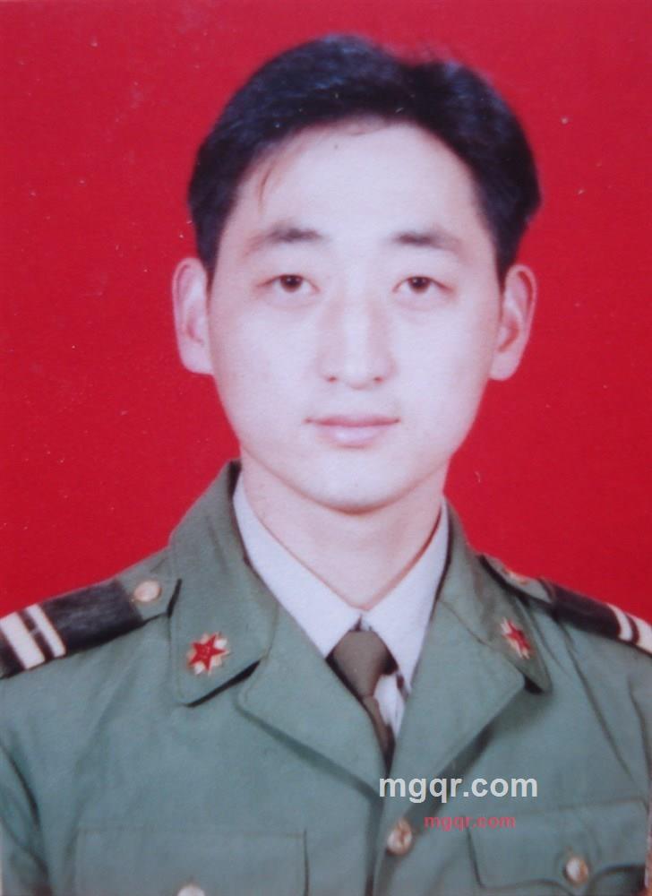 草原狼之狼的第2张照片