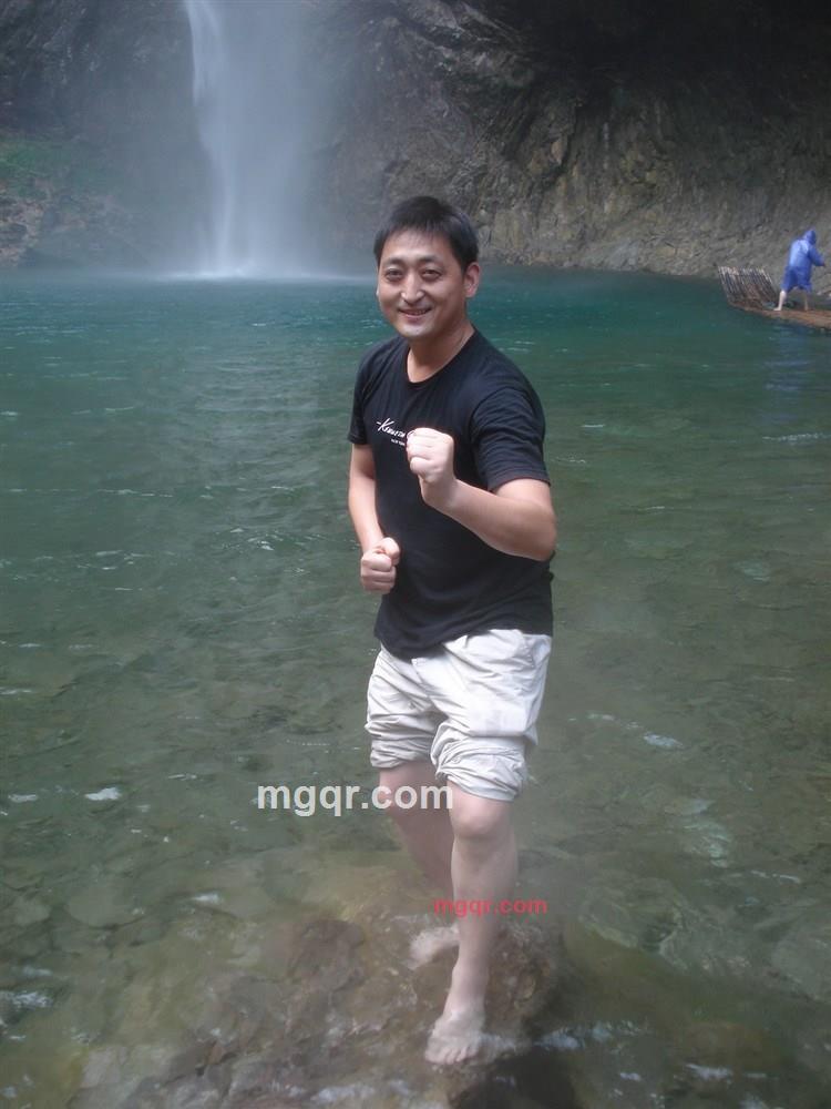 草原狼之狼的第1张照片