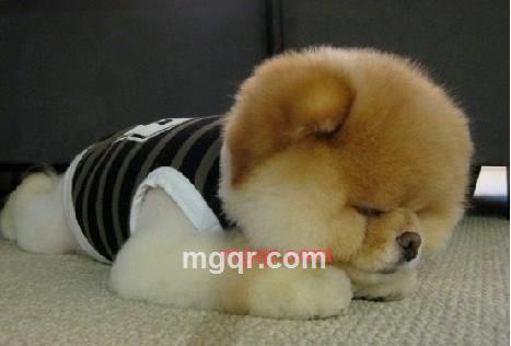 寻爱的潇潇的第1张照片