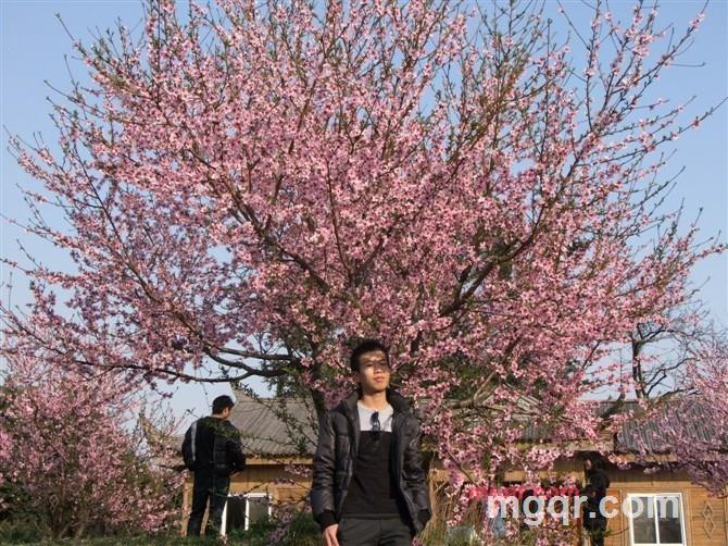 风别尘的第8张照片