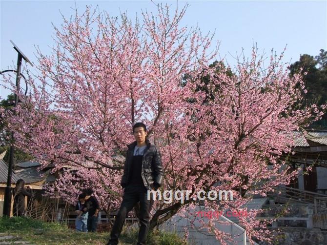 风别尘的第7张照片