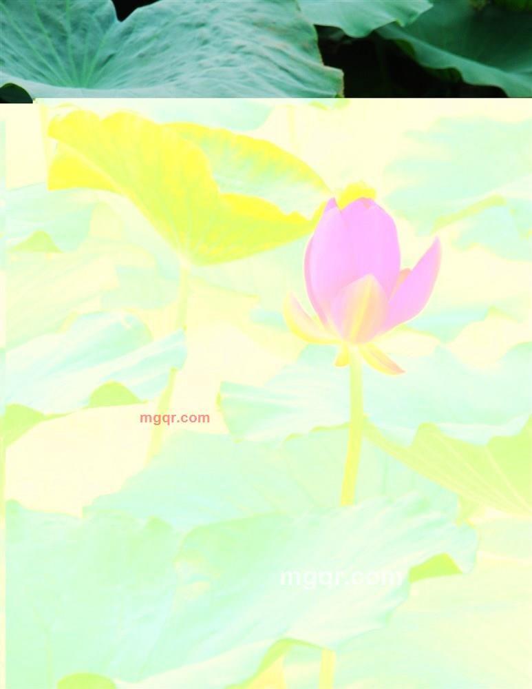 yq山人的第1张照片