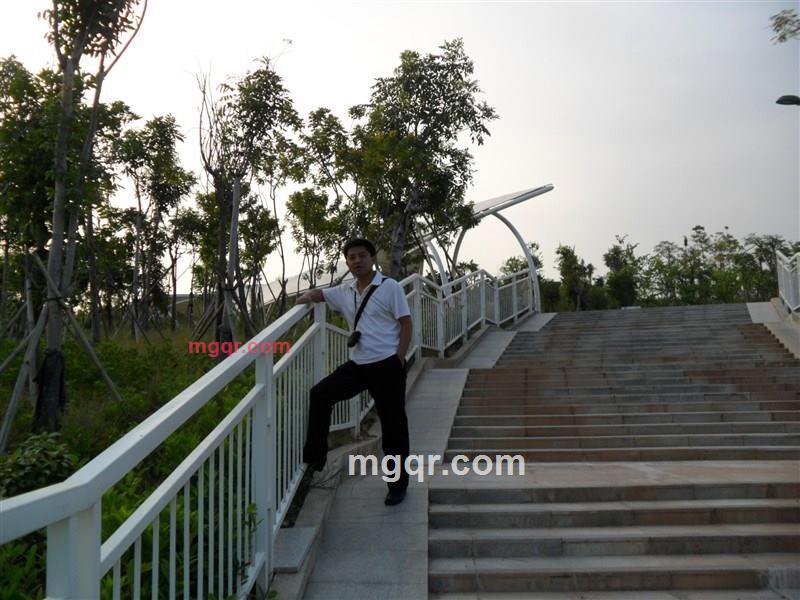 流星雨2012的第2张照片