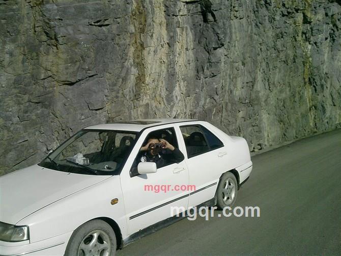 豆是孤单的第2张照片