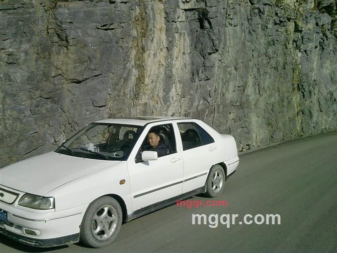 豆是孤单的第1张照片