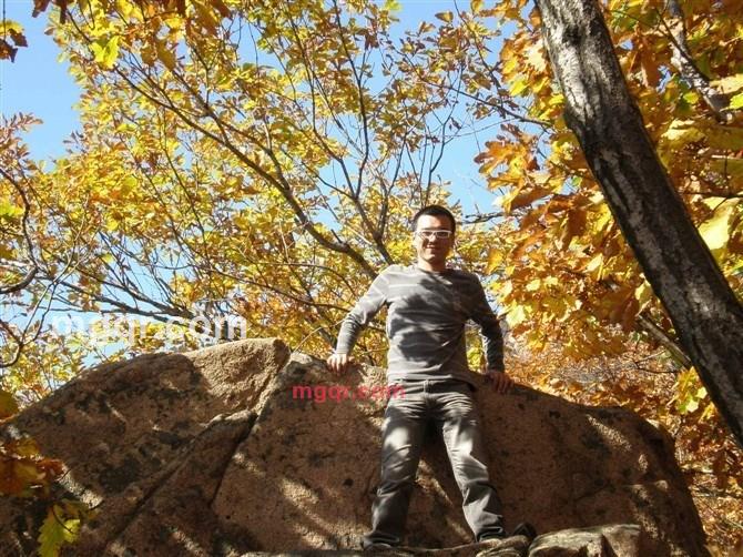 会员1033544的第3张照片