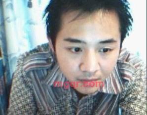 迷路的鸟的第7张照片