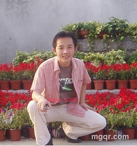 迷路的鸟的第8张照片