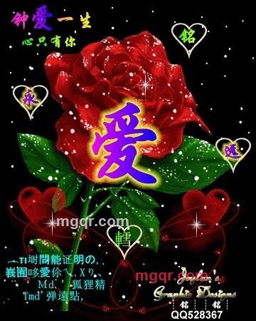 mnv258的第1张照片