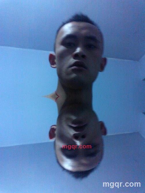 小鳥也会愤怒的第1张照片