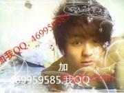 燃放我的激情的第12张照片