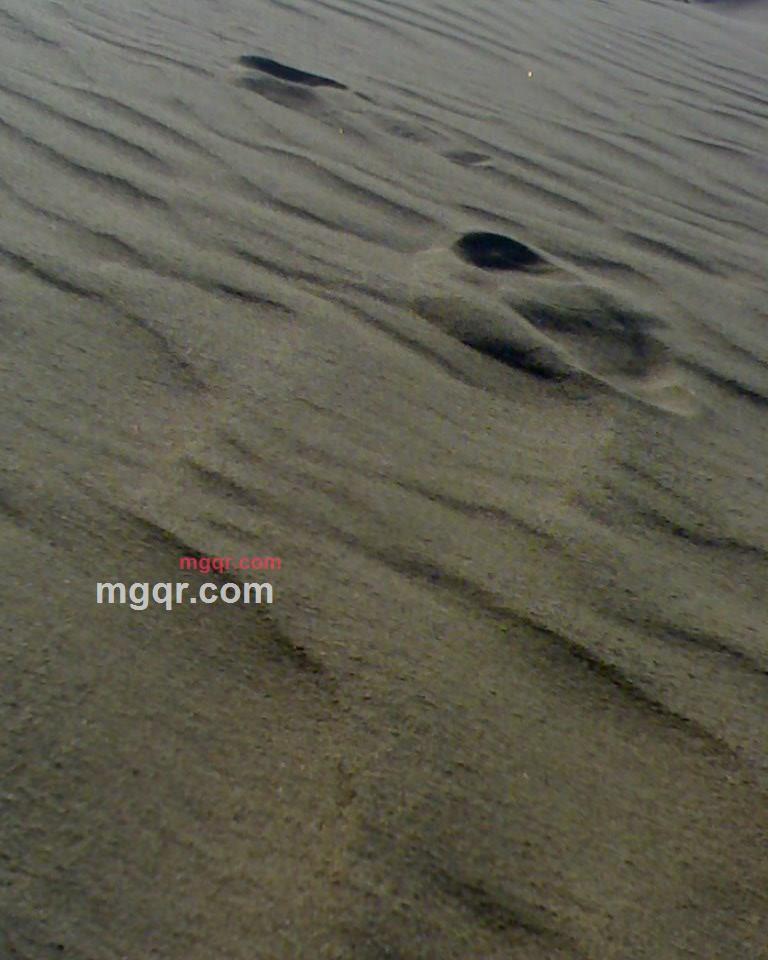 午夜唱情歌!的第1张照片