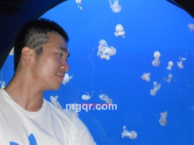 达令港的第9张照片