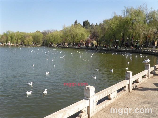 雅间的第1张照片