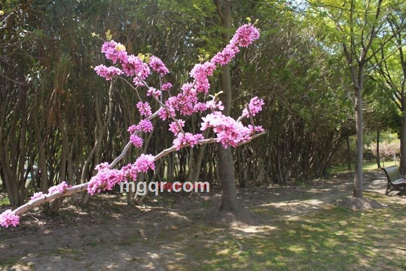 ONGLY YOU的第2张照片