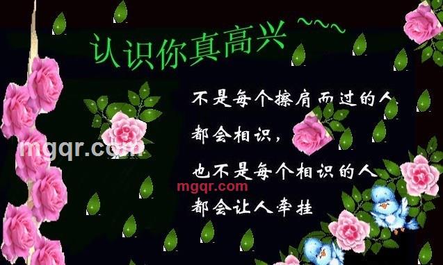 wmzyq的第4张照片