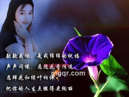 wmzyq的第2张照片