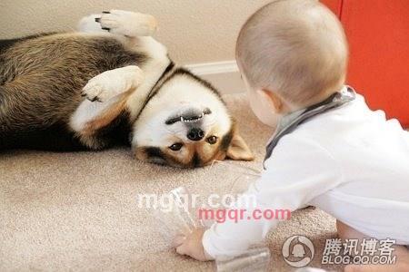 咪了个猫的第1张照片