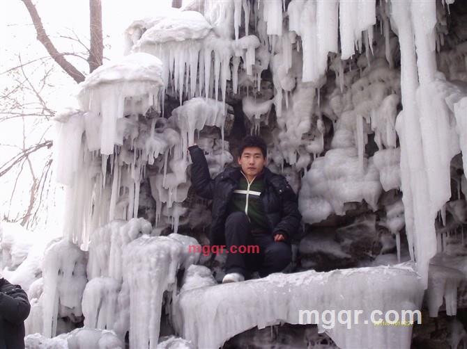 茶杯里的叶子的第7张照片