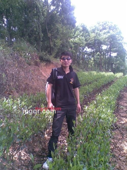 爱的曲的第1张照片