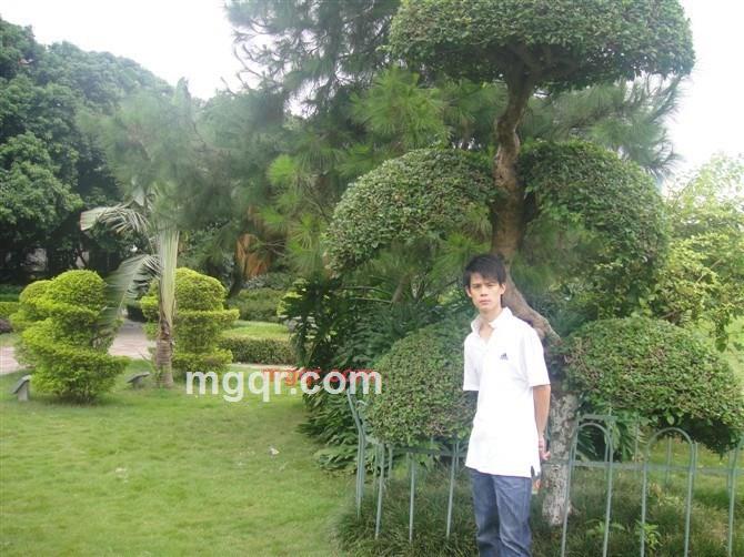 897肆壹壹10的第5张照片