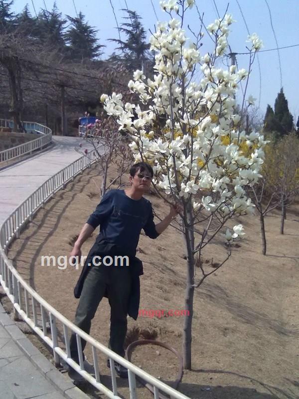 无须滥情的第1张照片