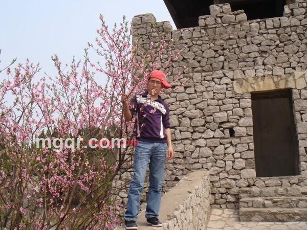 中华A的第2张照片