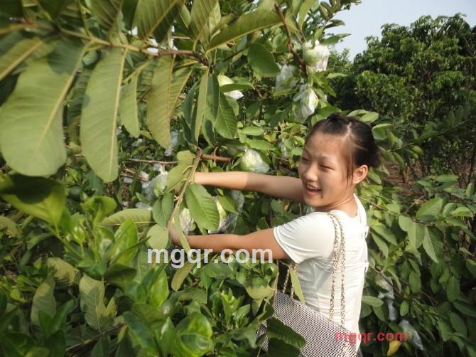 在单车上······的第21张照片