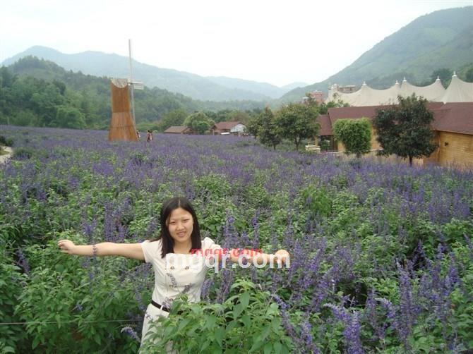 在单车上······的第12张照片