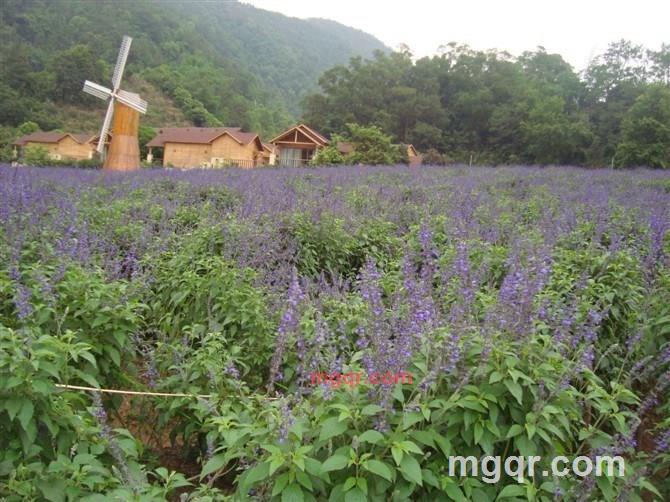 在单车上······的第10张照片