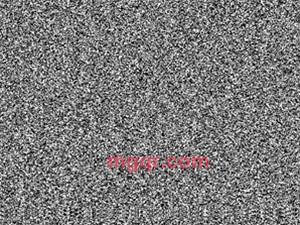 温柔的瞬间的第1张照片