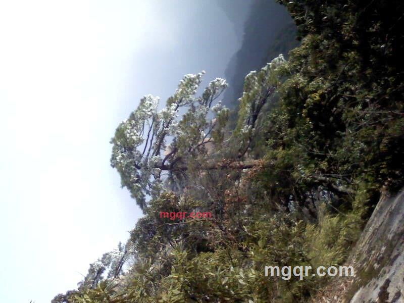 dengfen的第3张照片