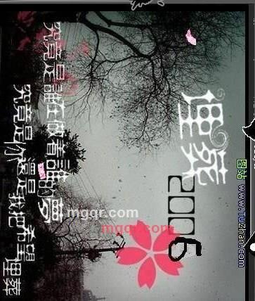 永不言弃v亮的第1张照片