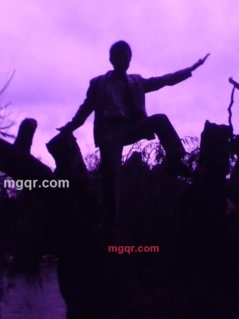 51256Q6931的第3张照片