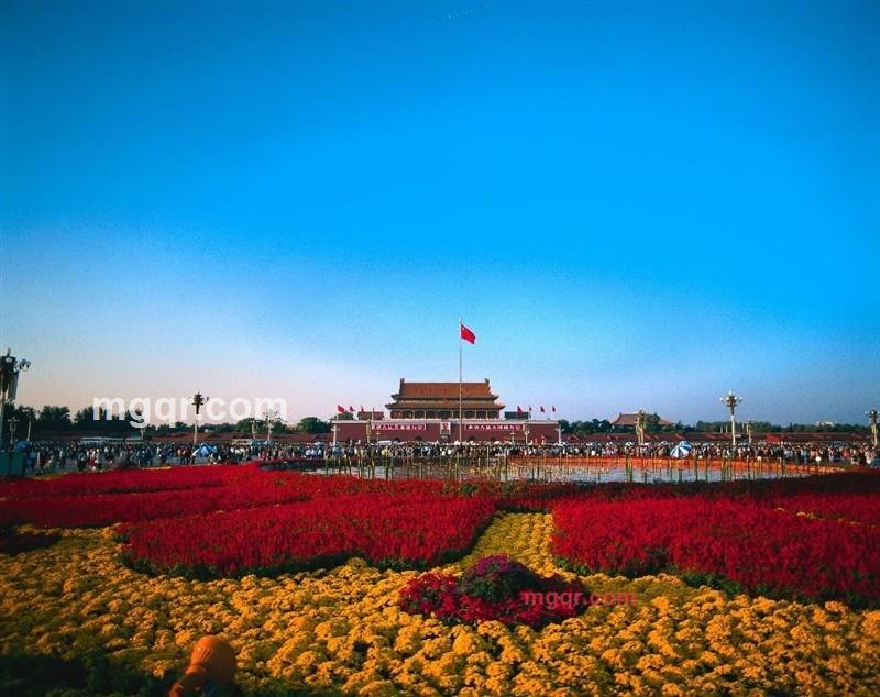 瑾儒的第8张照片