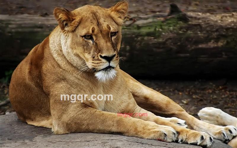 瑾儒的第6张照片