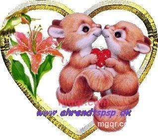 木木木头的第1张照片