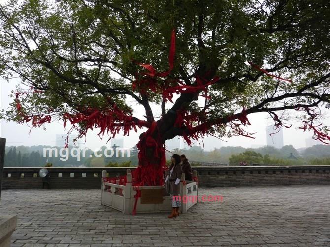 我度神仙的第2张照片