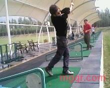 沼泽的第3张照片