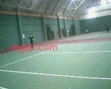 沼泽的第1张照片