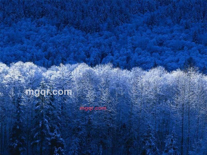 相见丽的第1张照片