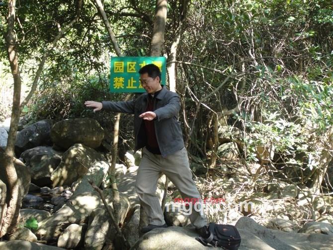 只身下广东的第1张照片