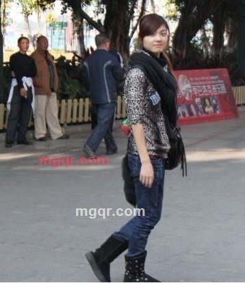 残雪中的孤菊 的第1张照片