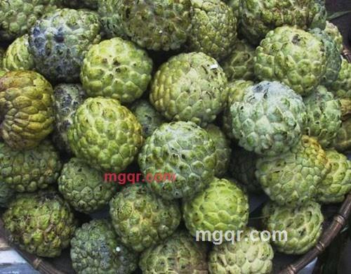 血狼911的第1张照片