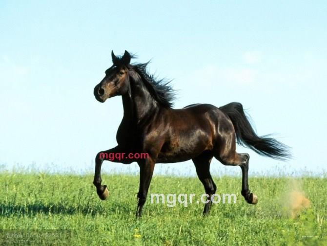 hstk88的第1张照片