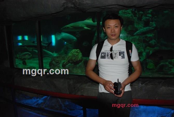 深情诺曼底的第5张照片